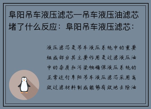 阜阳吊车液压滤芯—吊车液压油滤芯堵了什么反应：阜阳吊车液压滤芯：提升设备效能，保障工作安全